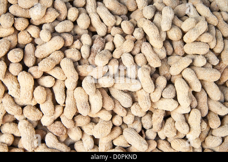 Organic Salted Peanuts In Its Shell At A Street Market Stock Photo