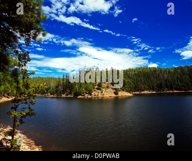 Knoll Lake on the Mogollon Rim. Apache-Sitgreaves National Forest, Arizona. USA Stock Photo