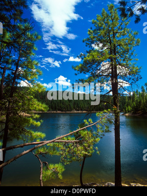 Knoll Lake on the Mogollon Rim. Apache-Sitgreaves National Forest, Arizona. USA Stock Photo