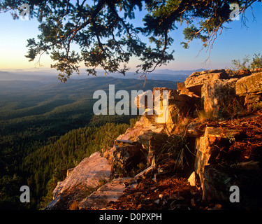 Mogollon Rim summer, North of Payson, Arizona. Coconino National Forest ...