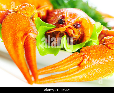 Boiled crawfish on a white background Stock Photo