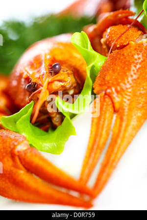 Boiled crawfish on a white background Stock Photo