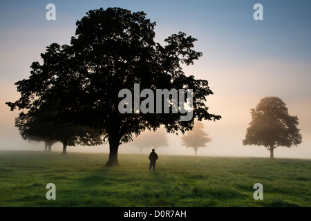 A photographer in a field on a misty morning near Milborne Port, Somerset, England, UK Stock Photo