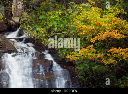 GA00184-00...GEORGIA - Anna Ruby Falls in the Chattahoochee National Forest. Stock Photo