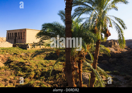 Temple of Hathor at Dendera. Egypt Stock Photo