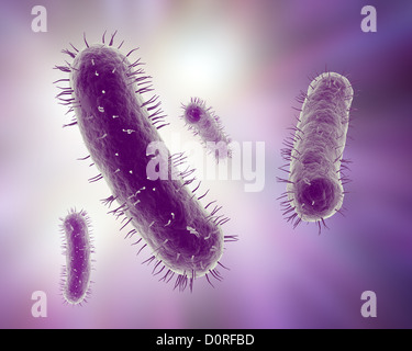 Scientific illustration of bacteria Stock Photo