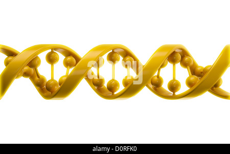 DNA strands Stock Photo