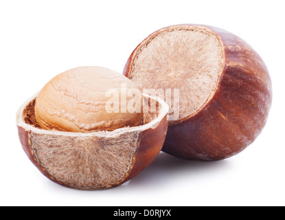 Nuts filberts on white background Stock Photo