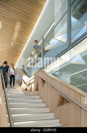The Forum Exeter University, Exeter, United Kingdom. Architect: Wilkinson Eyre Architects, 2012. Timber stairway with gallery. Stock Photo