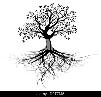 whole black tree with roots isolated white background vector Stock Photo