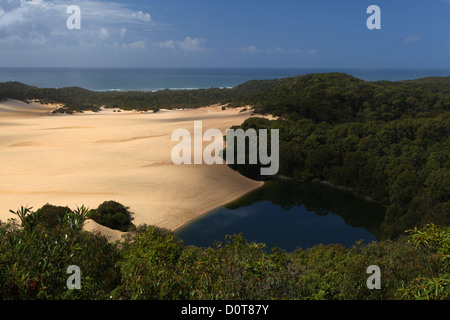 Lake Wabby, lake, dune, sand, sand dune, sea, rest, tourism, ecotourism, sand island, island, Fraser Island, Queensland, east co Stock Photo