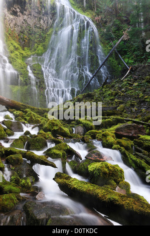 Cascading, flow, Waterfall, Proxy Falls, Cascade Mountains, Willamette, National Forest, cascade, Oregon, USA, United States, Am