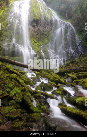 Cascading, flow, Waterfall, Proxy Falls, Cascade Mountains, Willamette, National Forest, cascade, Oregon, USA, United States, Am