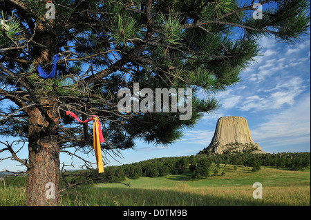 Devils Tower, National Monument, Wyoming, prairie, grassland, volcanic, basalt, tower, natural, landscape, vertical, blue, sky, Stock Photo