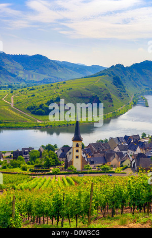 Germany Europe travel Moseltal Moselle Valley Bremm agriculture bend church Mosel tourism valley village vineyard Stock Photo