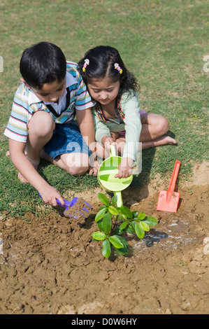 Boy and his sister watering plants in a lawn, Gurgaon, Haryana, India Stock Photo