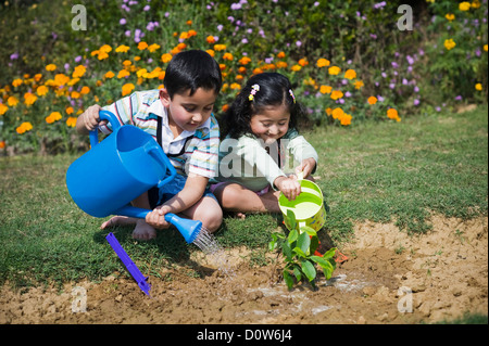 Boy and his sister watering plants in a lawn, Gurgaon, Haryana, India Stock Photo