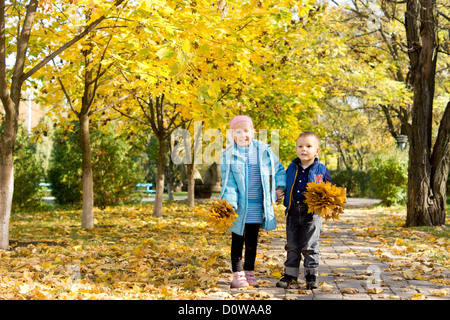 Two young children collecting bunches of yellow autumn leaves in a park standing on a footpath under the trees Stock Photo