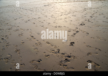 Close up shot of coral sand Stock Photo