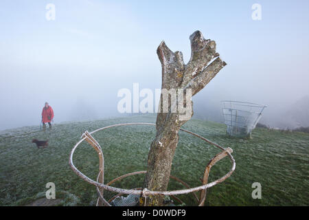 Glastonbury Tor and the remains of the vandalized Holy Thorn Tree,on Wearyall Hill, on a cold frosty misty morning. Dog walkers Stock Photo