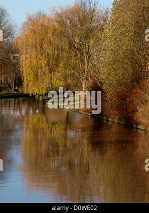 Riverbank in Autumn, Cambridge, UK Stock Photo
