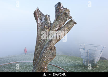 Glastonbury Tor and the remains of the vandalized Holy Thorn Tree,on Wearyall Hill, on a cold frosty misty morning. Dog walkers Stock Photo