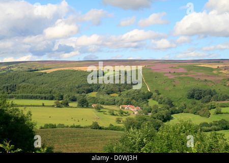 Surprise View to Farndale Gillamoor North Yorkshire England UK Stock Photo