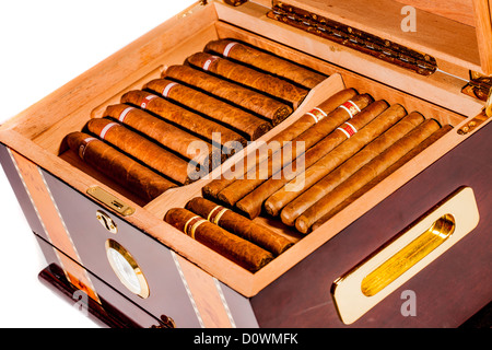 Cigars in humidor Stock Photo