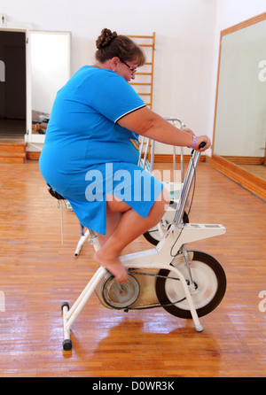 bike for overweight female uk