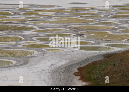 The Spotted Lake, Osoyoos, British Columbia, Canada Stock Photo