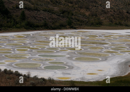 The Spotted Lake, Osoyoos, British Columbia, Canada Stock Photo