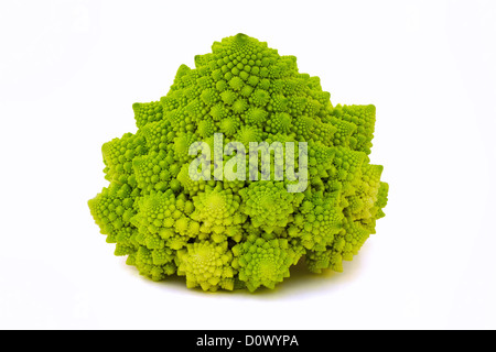 Rare special broccoli (Romanesco broccoli cabbage) Stock Photo