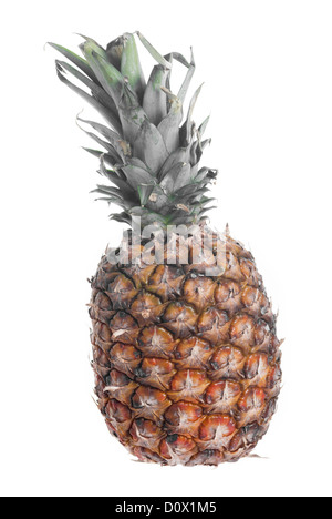 Whole pineapple set against white background. Stock Photo