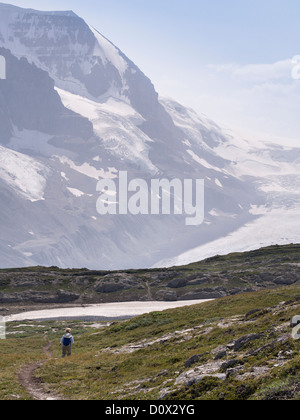 Hiking the Wilcox Pass. A woman hiker walks with poles toward a ice patch and massive glacier covered mountains in the distance. Stock Photo