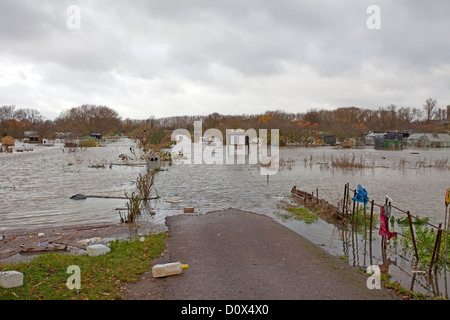 botley road allotments under water oxford 2012 Stock Photo