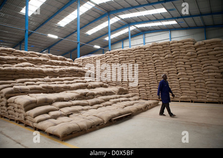 A worker walks through stacks of coffee and commodities at a warehouse in Kampala, Uganda, East Africa. Stock Photo