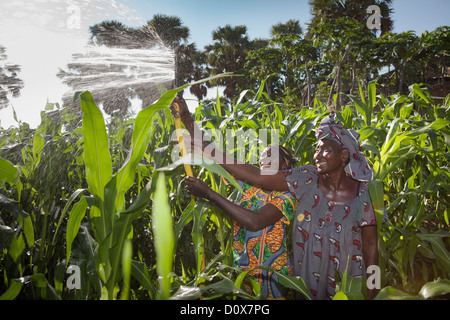 Women water their garden with the help of treadle pump irrigation system in Doba, Chad, Africa. Stock Photo