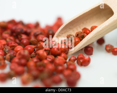 red peper spice timber object Stock Photo