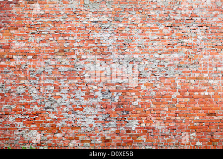 Red brick dirty background. Stock Photo