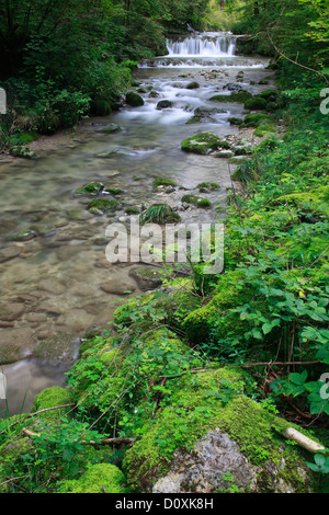 Aa, Aa brook, brook, brook bed, movement, river, flow, Kempten, Kemptner ravine, Kemptnertobel, moss, Switzerland, Europe, stone Stock Photo