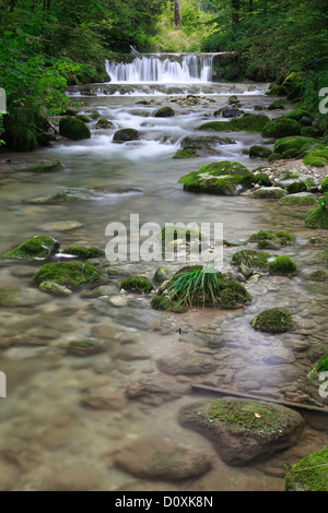 Aa, Aa brook, brook, brook bed, movement, river, flow, Kempten, Kemptner ravine, Kemptnertobel, moss, Switzerland, Europe, stone Stock Photo