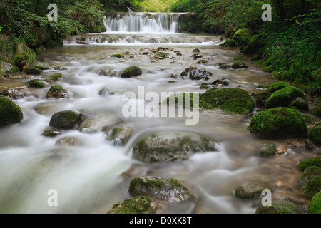 Aa, Aa brook, brook, brook bed, movement, river, flow, Kempten, Kemptner ravine, Kemptnertobel, moss, Switzerland, Europe, stone Stock Photo