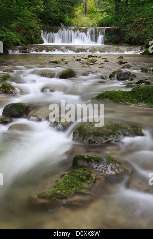 Aa, Aa brook, brook, brook bed, movement, river, flow, Kempten, Kemptner ravine, Kemptnertobel, moss, Switzerland, Europe, stone Stock Photo