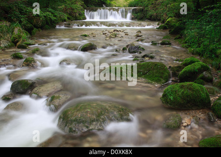 Aa, Aa brook, brook, brook bed, movement, river, flow, Kempten, Kemptner ravine, Kemptnertobel, moss, Switzerland, Europe, stone Stock Photo