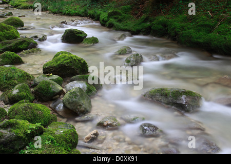 Aa, Aa brook, brook, brook bed, movement, river, flow, Kempten, Kemptner ravine, Kemptnertobel, moss, Switzerland, Europe, stone Stock Photo