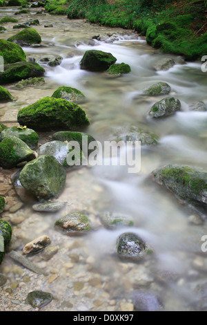 Aa, Aa brook, brook, brook bed, movement, river, flow, Kempten, Kemptner ravine, Kemptnertobel, moss, Switzerland, Europe, stone Stock Photo