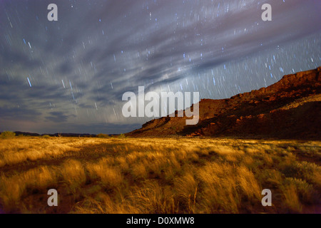 Africa, Namibia, Damaraland, grassland, night, star trails, sky, stars, starlit, spangled sky, Stock Photo