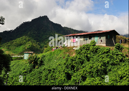 Indian, idigenes, cloud forest, rain forest, House, Landscape, Volcan Baru, Panama, Central America, Stock Photo