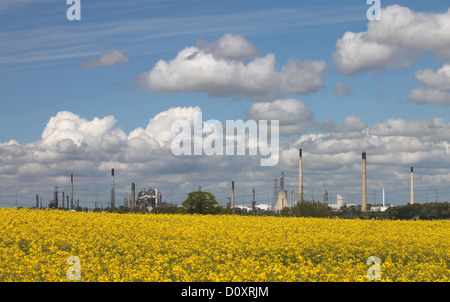 Rapeseed field and Stanlow oil refinery in Cheshire Stock Photo