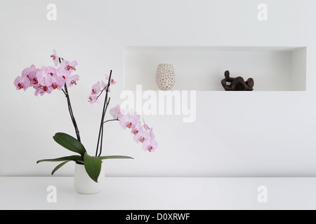 Pink orchid plant and ornaments in room Stock Photo